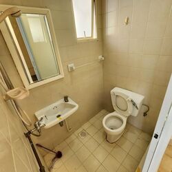 Holland Grove (D10), Semi-Detached #565053841